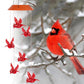 💓 Solar Cardinal Wind Chime Light