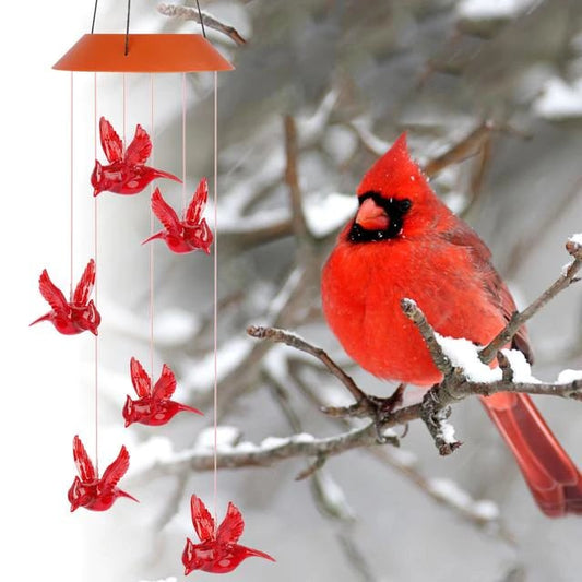 💓 Solar Cardinal Wind Chime Light